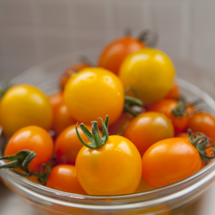 フードスタイリスト津幡ともこの作品-Yellow tomatoes