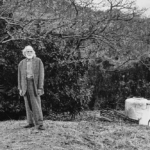 スタイリスト山本裕二の作品